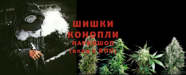 шишки Семикаракорск
