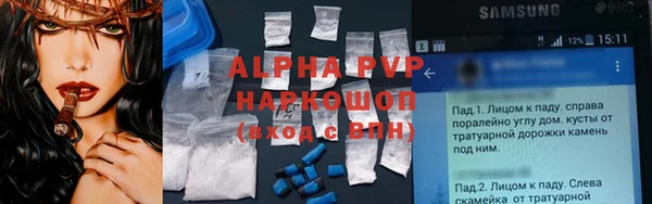 индика Баксан