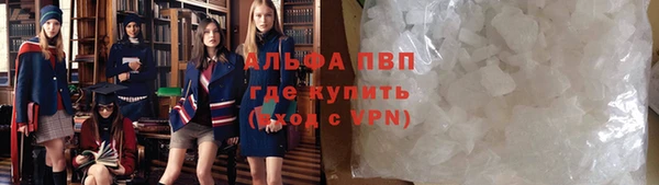 индика Баксан