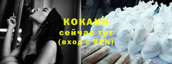 индика Баксан