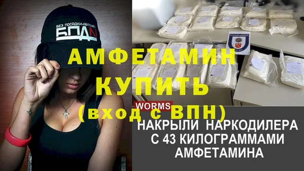 индика Баксан