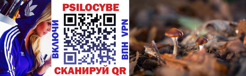 Псилоцибиновые грибы мицелий  Таруса 