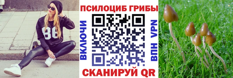 Галлюциногенные грибы MAGIC MUSHROOMS Таруса